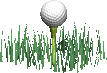 A picture containing text, golf, athletic game, sport

Description automatically generated
